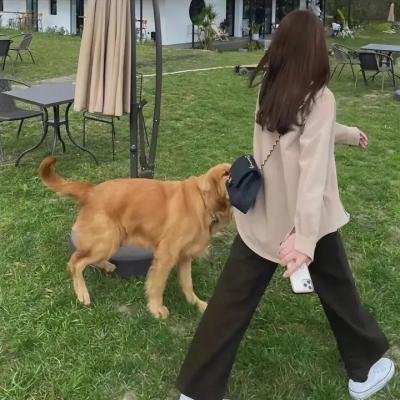 女人不坏,男人不爱 在线观看